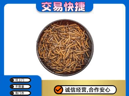 宿州回收散虫草